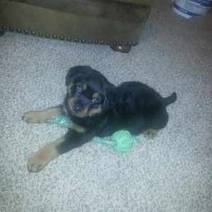 Meet your Posher, Lisa