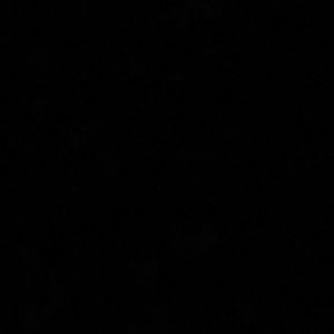 Meet your Posher, Nora