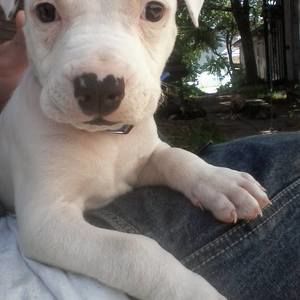 Meet your Posher, Bernadette