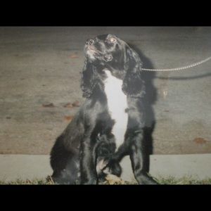 Meet your Posher, Mary