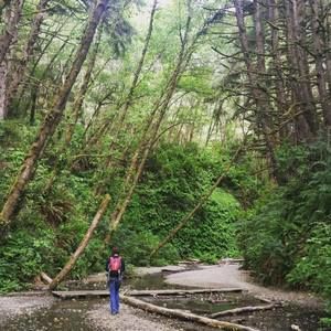 Meet your Posher, Esther