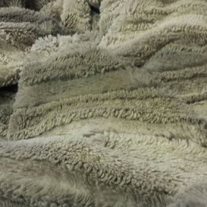 Meet your Posher, Neelima