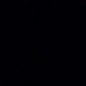 Meet your Posher, Kellsy