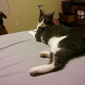 Meet your Posher, Marissa