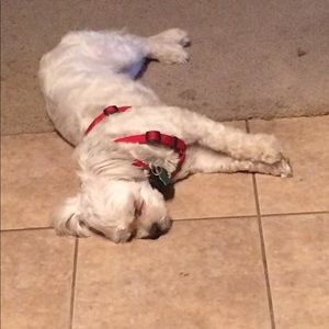 Meet your Posher, Cristen