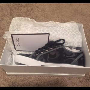 Coach sneakers BRAND NEW still in box