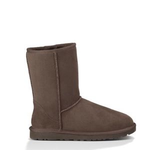 Chocolate brown short ugg boot
