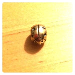 Pandora ladybug charm