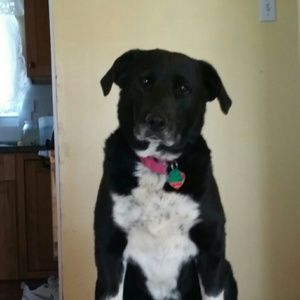 Meet your Posher, Madelyn