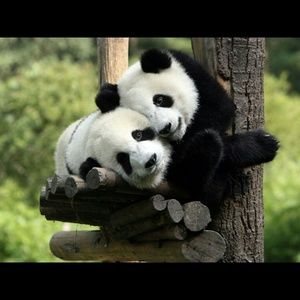 Meet your Posher, Rita