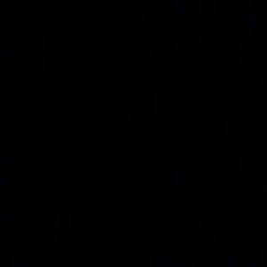 Meet your Posher, Miguel