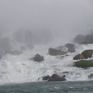 Meet your Posher, Rob