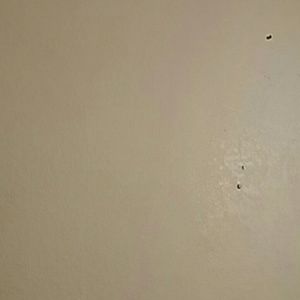 Meet your Posher, Isabel