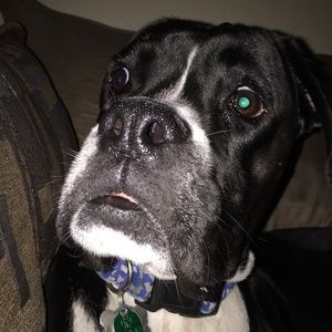 Meet your Posher, June