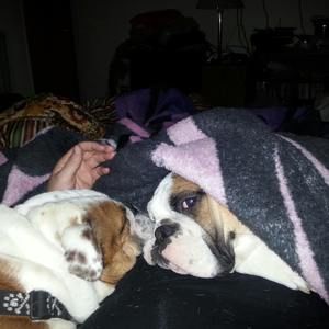 Meet your Posher, Amber