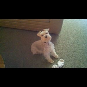 Meet your Posher, Debra