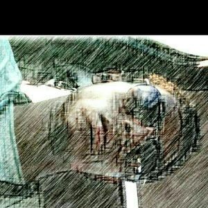 Meet your Posher, Tevin