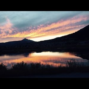 Meet your Posher, Casey