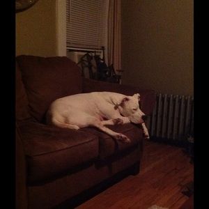 Meet your Posher, Nancy