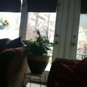 Meet your Posher, Cynthia