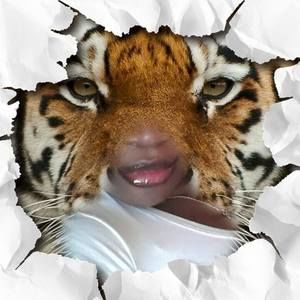 Meet your Posher, Gail