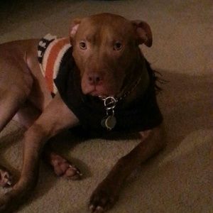 Meet your Posher, Victoria