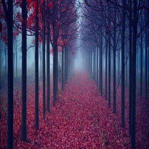 Meet your Posher, Nathan