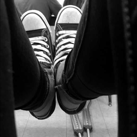 Meet your Posher, Gracie - Picture 1 of 1