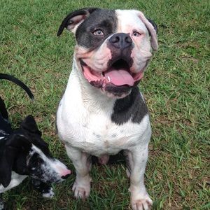 Meet your Posher, Demi