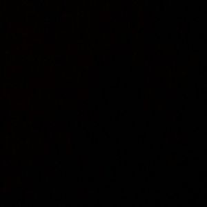 Meet your Posher, Nalini