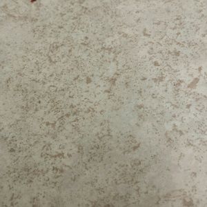 Meet your Posher, Ronnisha