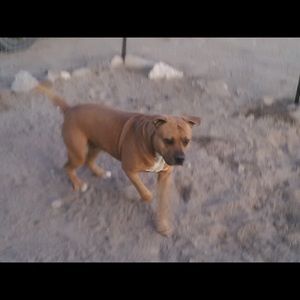 Meet your Posher, Sandra