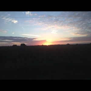 Meet your Posher, Bailey