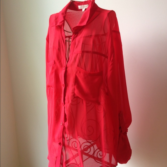 Pretty Good Red Sheer Blouse - Picture 3 of 4