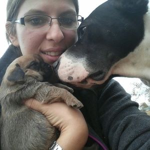 Meet your Posher, Samantha