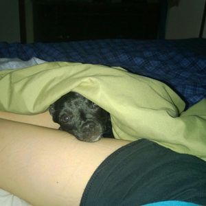 Meet your Posher, Kelli