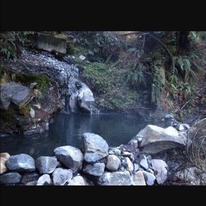 Meet your Posher, Hayley