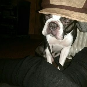 Meet your Posher, Selena