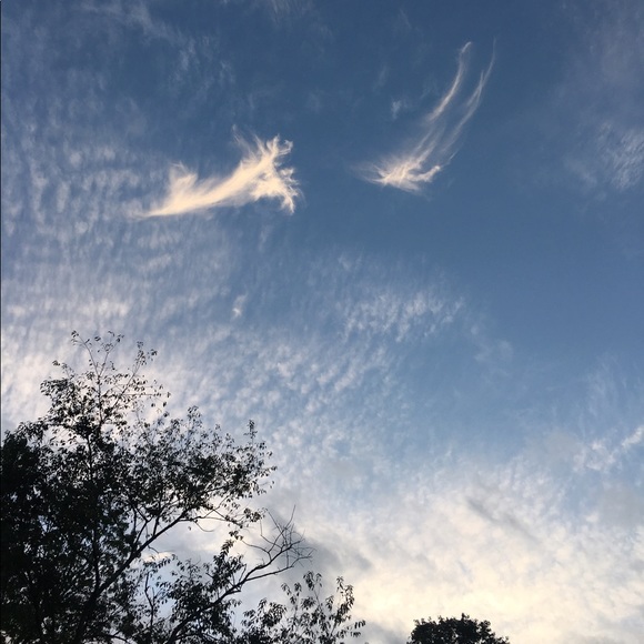 Meet your Posher, Diana - Picture 4 of 5