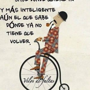 Meet your Posher, Damaris