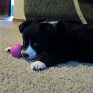 Meet your Posher, Valerie