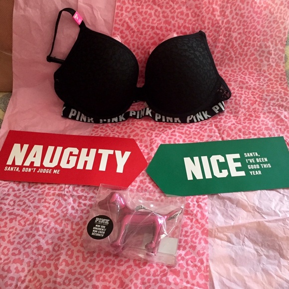 Victoria's Secret bra