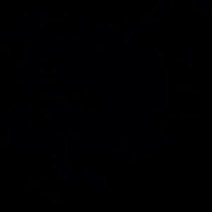 Meet your Posher, Madina