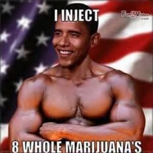 Meet your Posher, Young