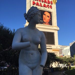 Meet your Posher, Sophie