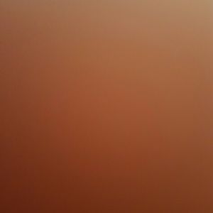 Meet your Posher, Dandrea