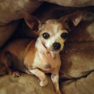 Meet your Posher, Tina