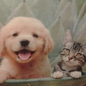 Meet your Posher, Martina