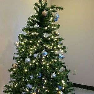 Meet your Posher, Amada