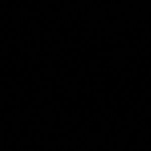 Meet your Posher, Annique